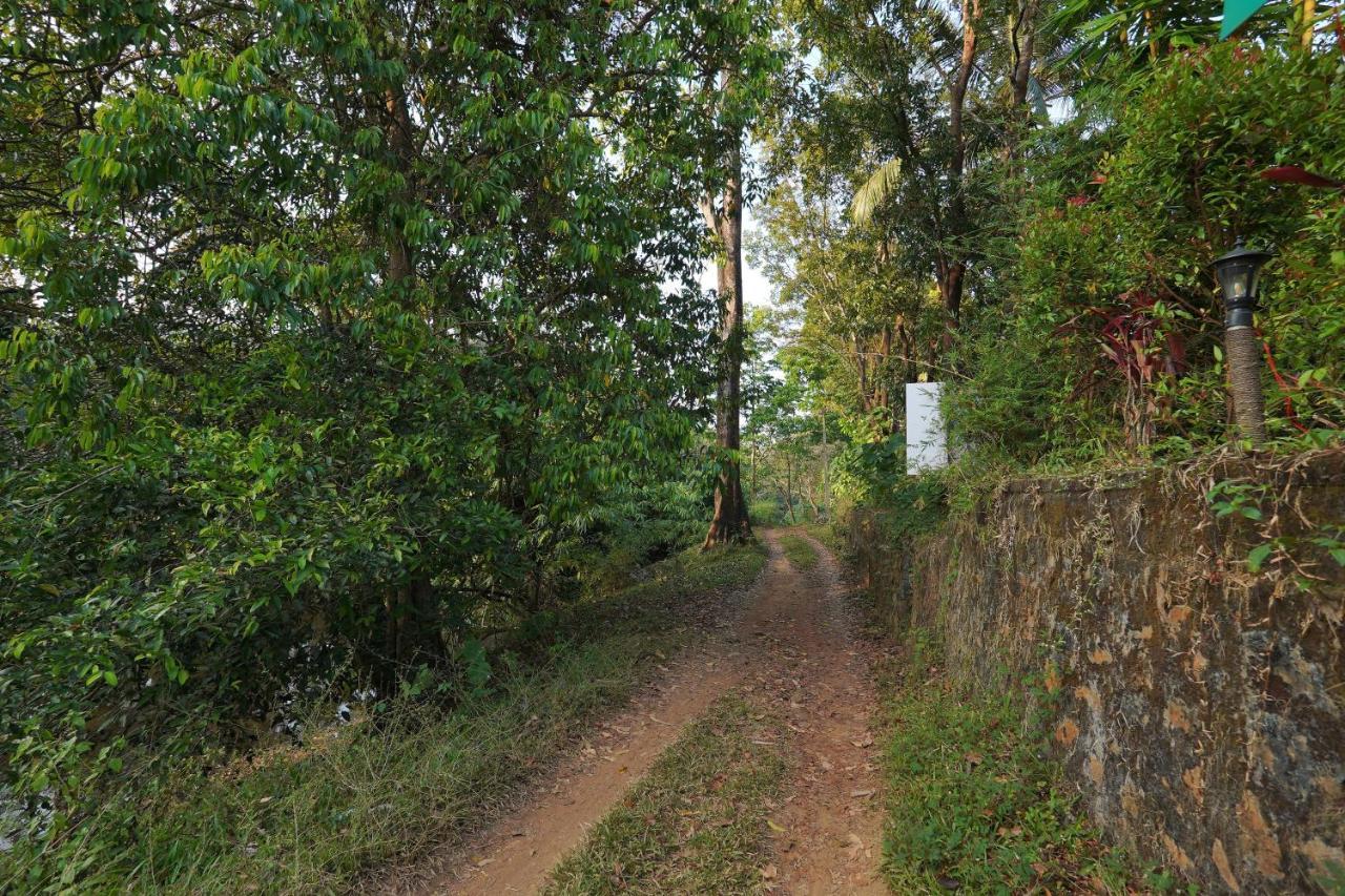 Athirapilly On The Rocks Hotel Athirappilly Exterior photo